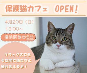 猫カフェバナー